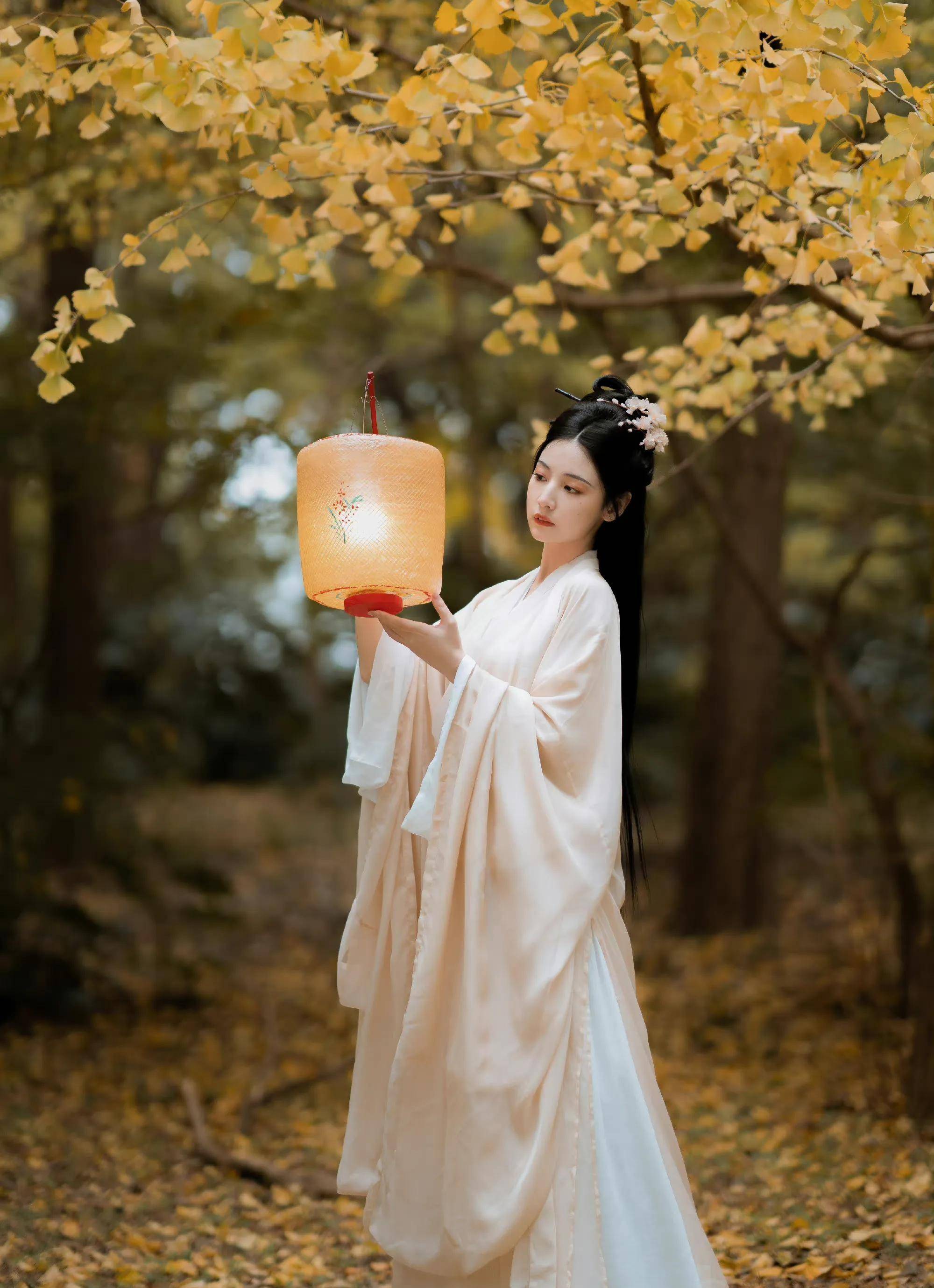 赵粤银杏树下古风写真,仙气飘飘,唯美浪漫,氛围感满满_少女_满树_袭素