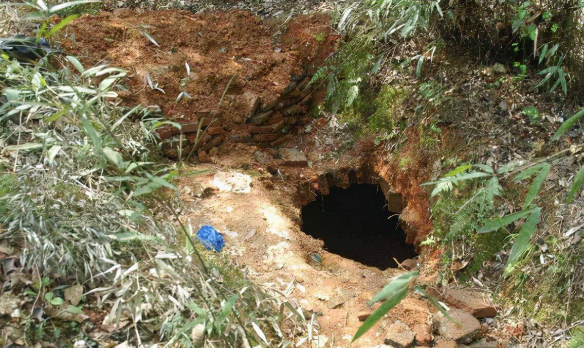 湖北一座千年古墓,其中发现稀世珍宝,墓主人身份大有来头_墓葬_考古