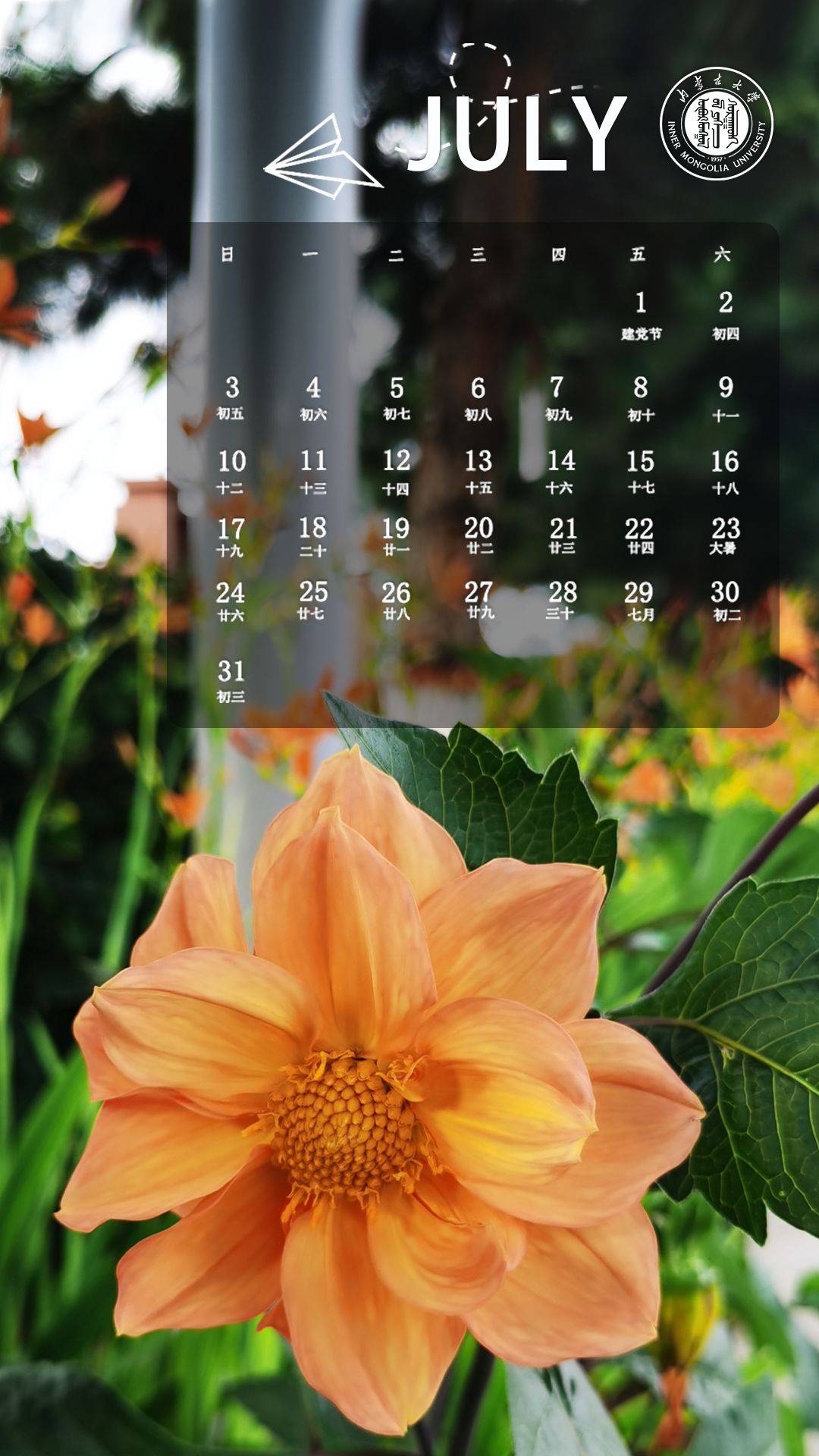 内蒙古大学考研|内大花朵壁纸_夏日_辅导_同名