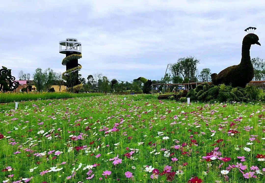 成都奇境花园魔豆塔,锦绣安仁花卉公园