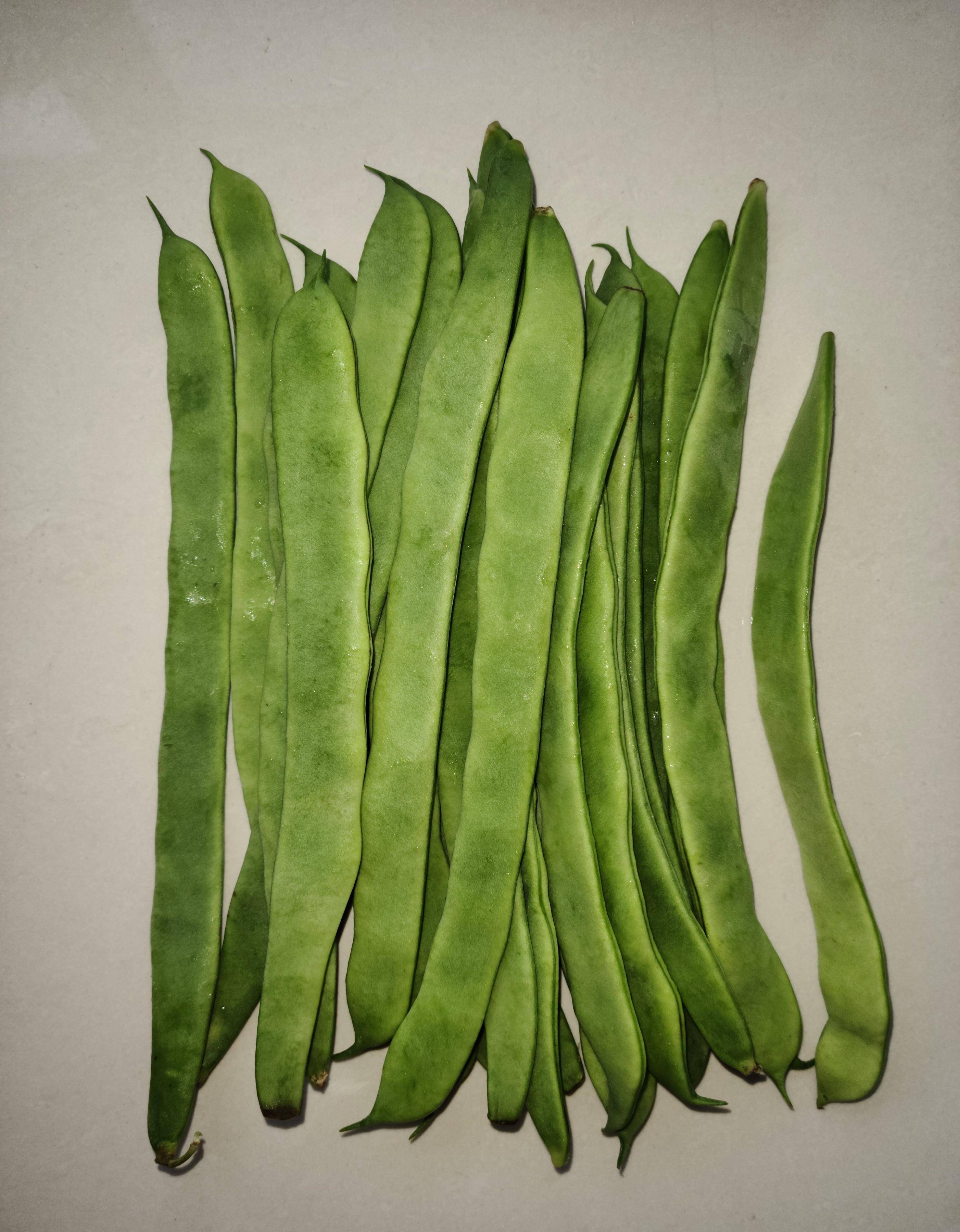 新手小白也会做的家常菜"清炒扁芸豆"_步骤_干辣椒_姜片