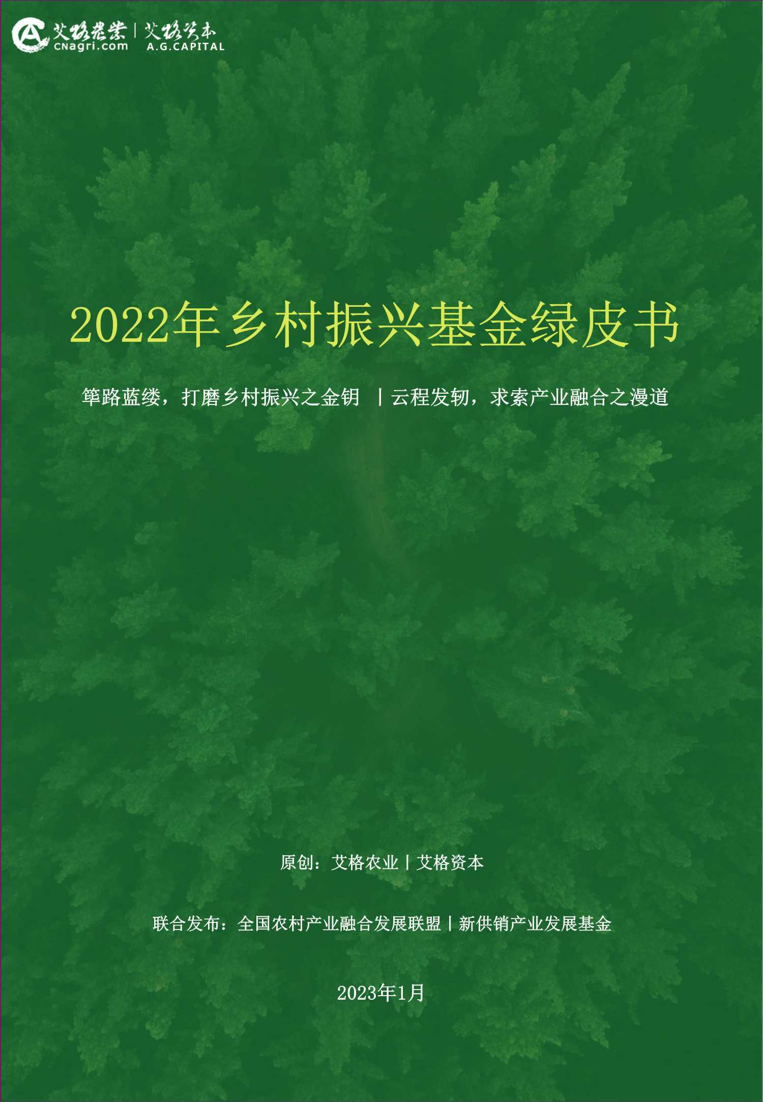 2022年乡村振兴基金绿皮书