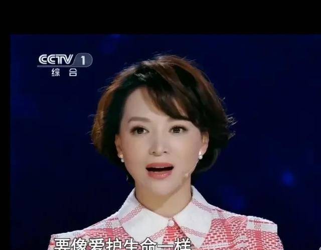 董卿倾情演绎：《初心》散文朗诵，触动心灵的文学之美 (董卿倾情演绎的作品)