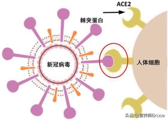 女子回应感染新冠后长出浓密的胡子，为什么会出现这种情况？