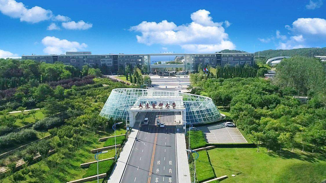 大连理工大学为何既不考虑中国医科大学,也不合并大连医科大学?