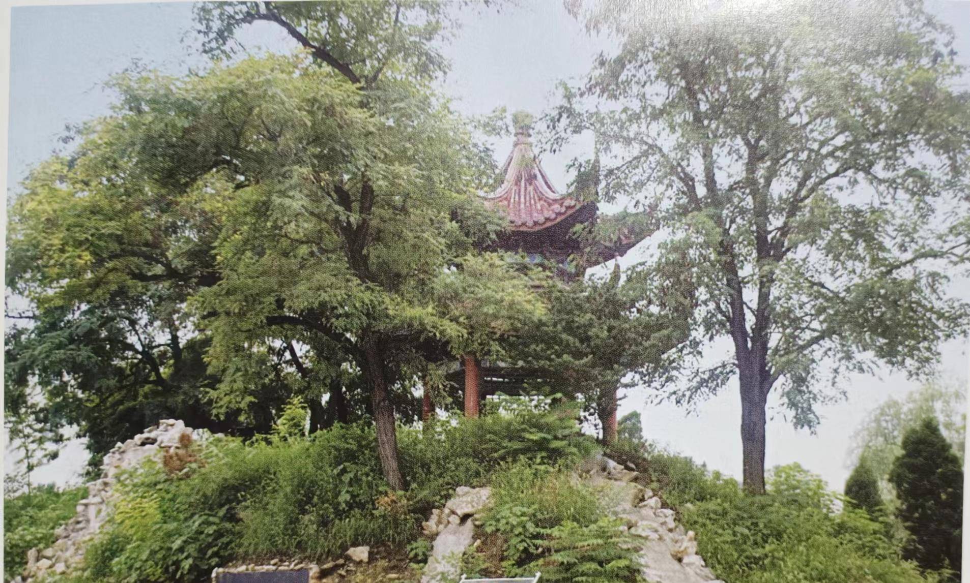 魏伯河-宁阳并非宁山阳:宁阳县得名及置县年代考_刚县_刘恬_魏选