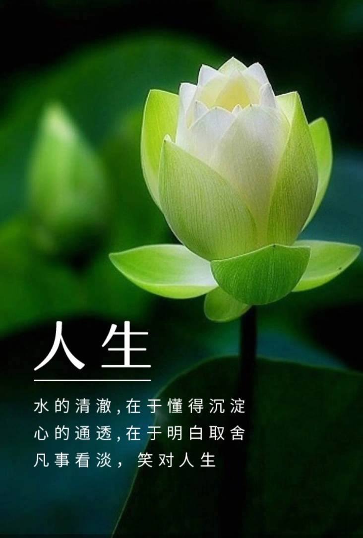 所有的修行都是为了重新获得自由_命运_一个人_心态