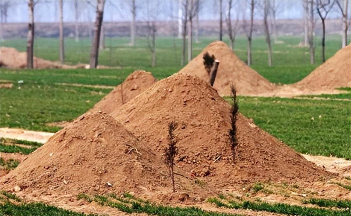 有道理吗?_人们_土坑_坟墓