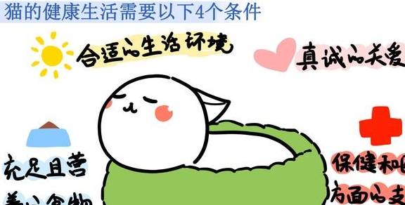 原创
            流浪猫、受虐猫救助指南：如何判断、一些原理和实用方法