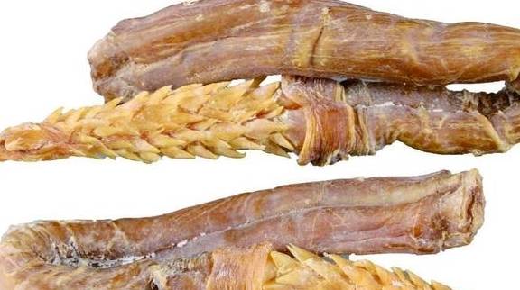 动物,也就是说母猫需要通过交配刺激才能够排卵,而倒刺的作用也在于此