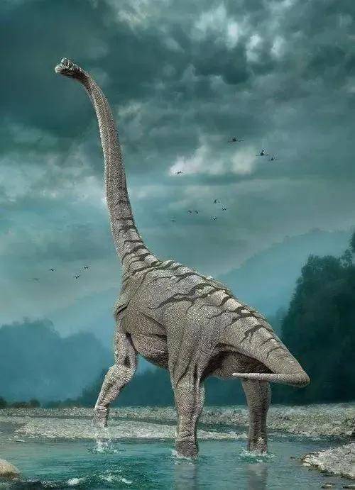 素食恐龙的本领图片