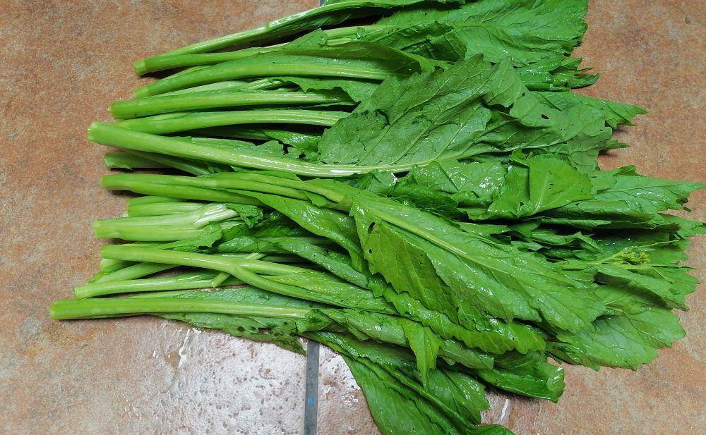 潮汕的市场上这两天的时间里这"3种"蔬菜会卖得特别的火爆.