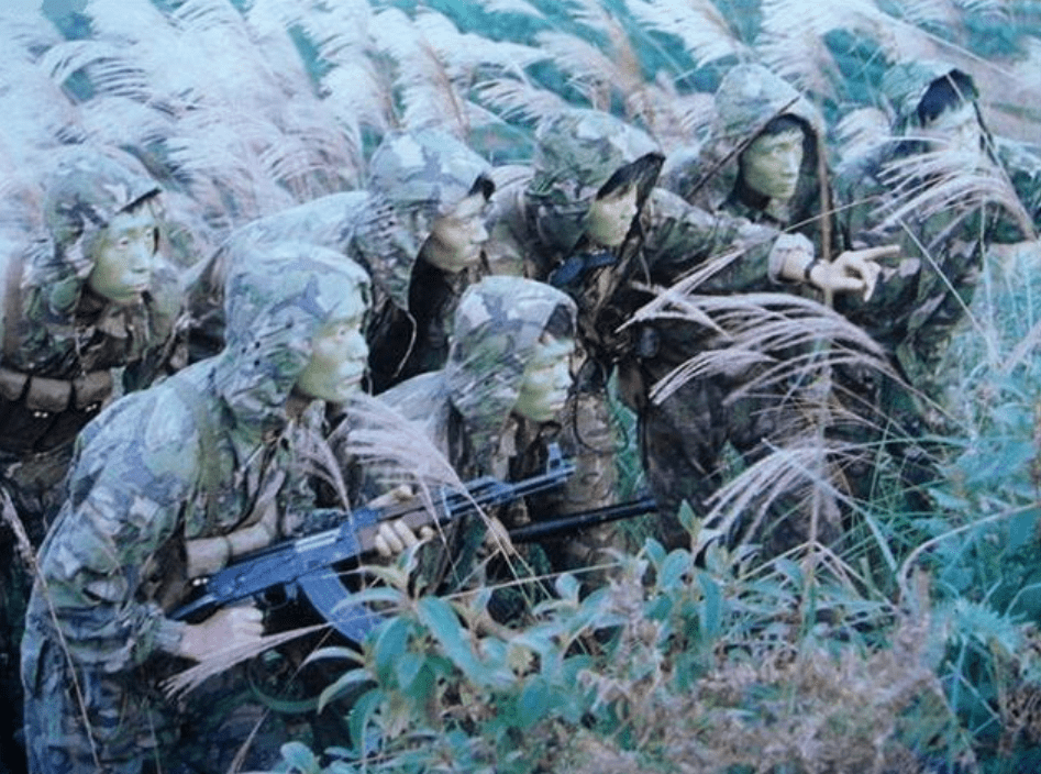 越军却在十几米外转身,朝左边走去_敌人_进行_哨卡