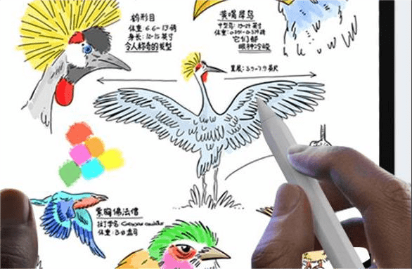 电容笔和Apple pencil的区别是什么？便宜又好用电容笔推荐