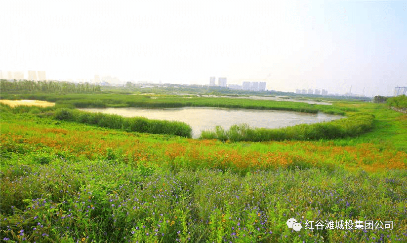 马咀山草原(湿地)项目效果图该项目建成后,红谷滩区将新增一处融合