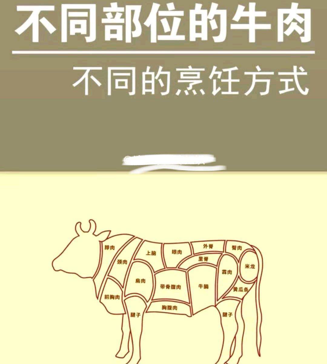 一头牛的具体教程,每个部位叫什么名字,最适合的烹饪方式和菜式_特点