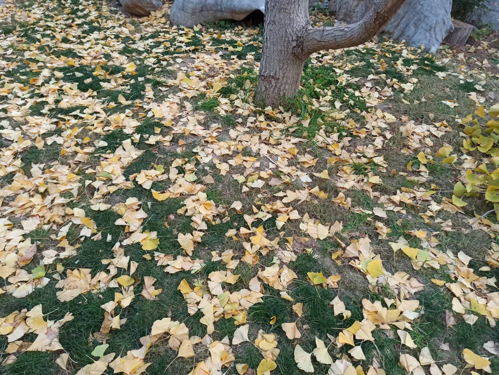 内斗内行，外斗外行！当一个家庭是这种情况的时候，败落就不远了_搜狐网
