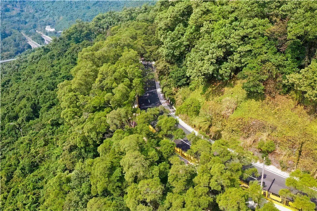 鹽田半山公園帶-鹽田區恩上公路與海山路鴛鴦谷景區入口地鐵8號線