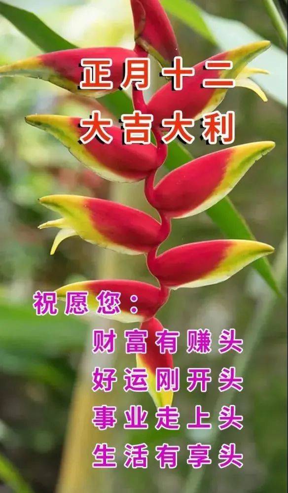 大年十二清晨早上好问候祝福动态表情图片 兔年最新早安问候语动态