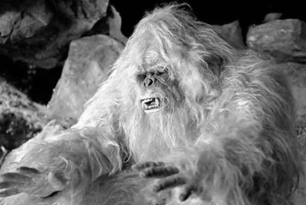 喜马拉雅山脉_故事_牦牛