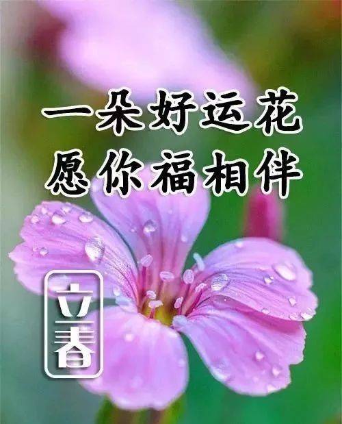 赶走烦闷驱逐无奈,生活如歌日子不坏,牵挂朋友心情愉快,祝立春快乐
