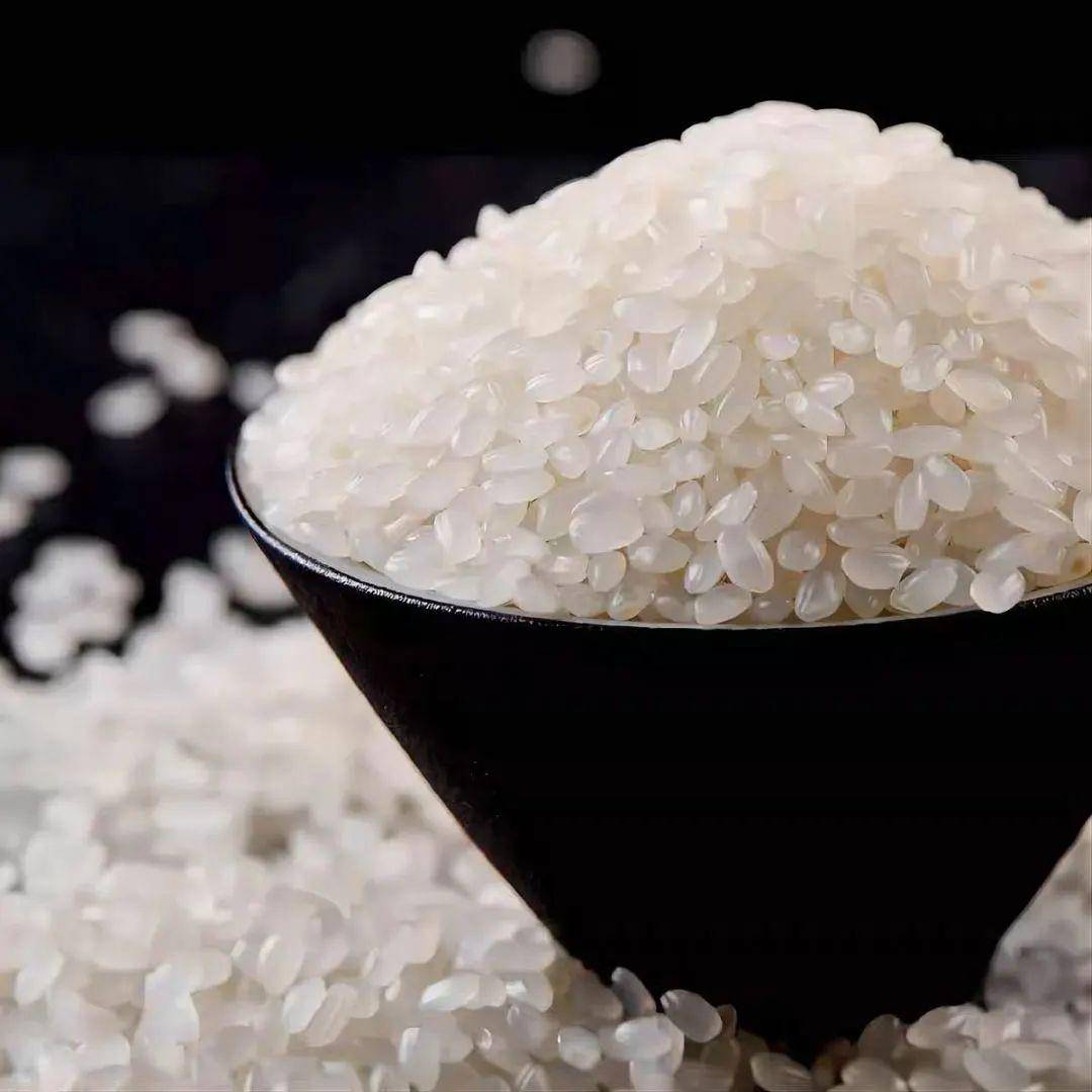 白粳1号水稻品种简介图片
