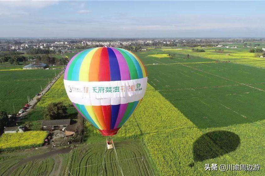 成都冉义镇油菜花图片