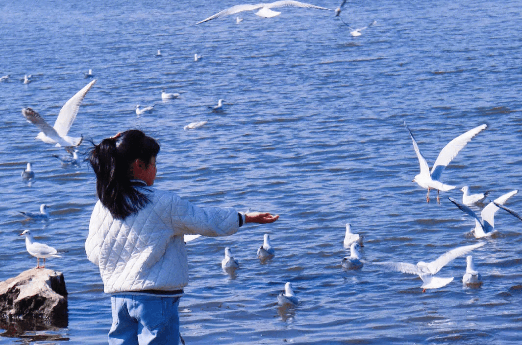 熊孩子犯错熊家长买单,"景区抓海鸥"一事迎来后续,网友:解气_教育