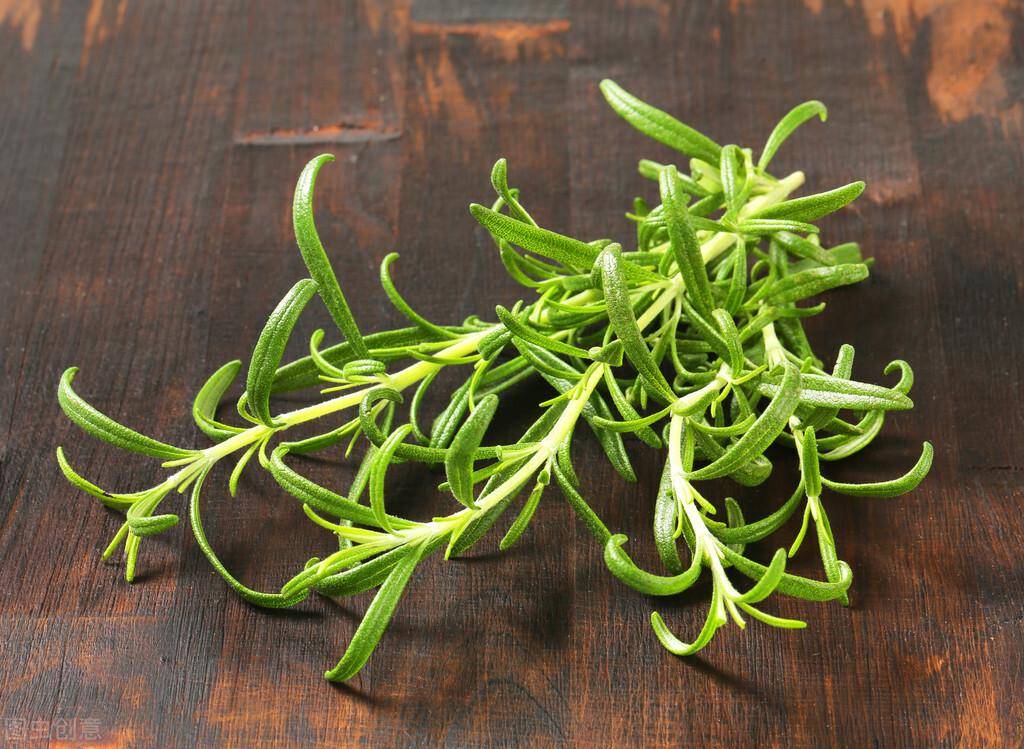 有着"海上灯塔"之称的植物-迷迭香_图片_网络_温度