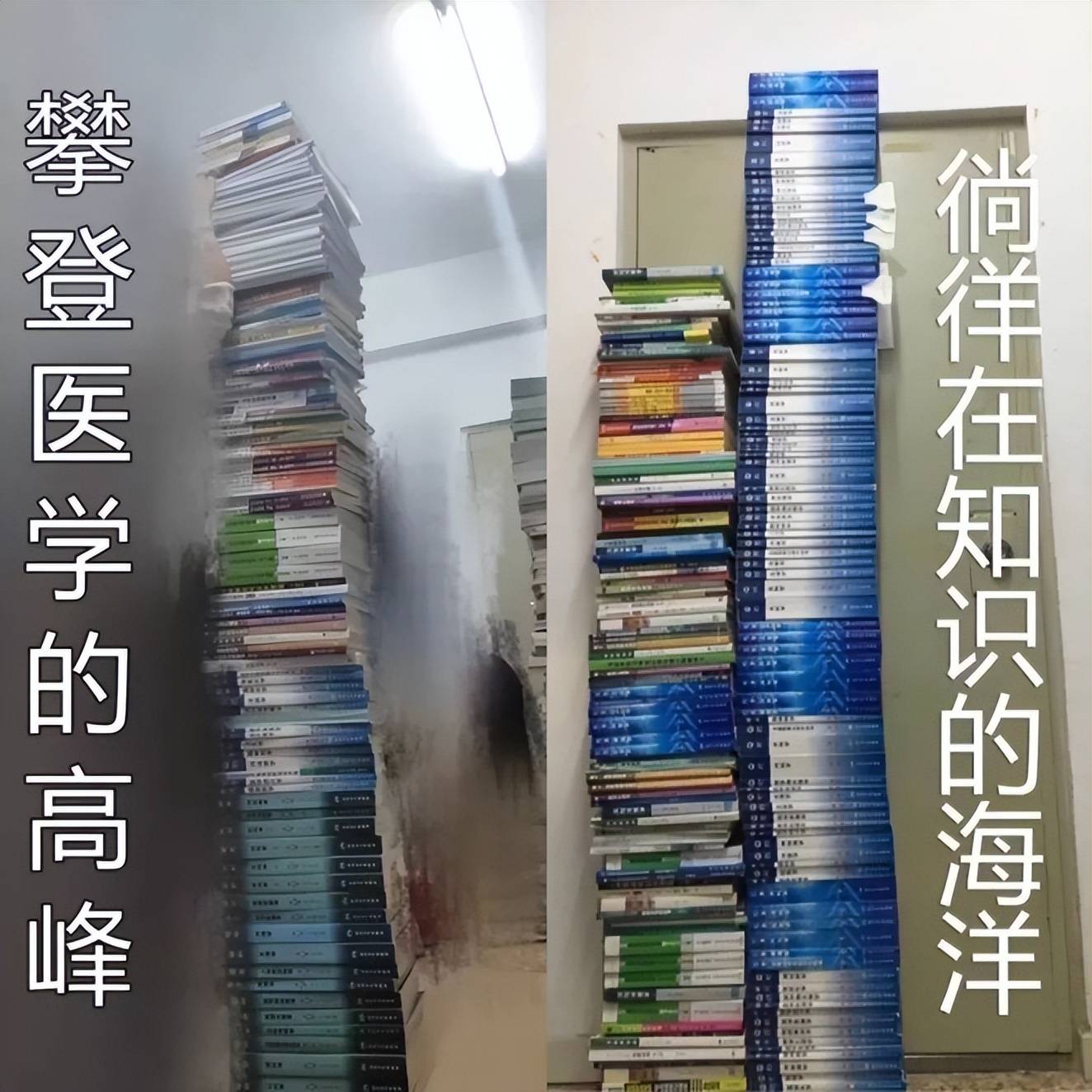 医学生专用趣图图片