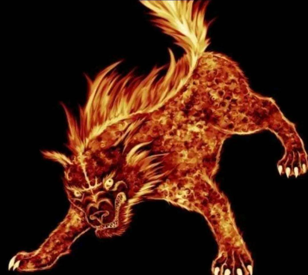 雅子骄傲,性格刚烈.