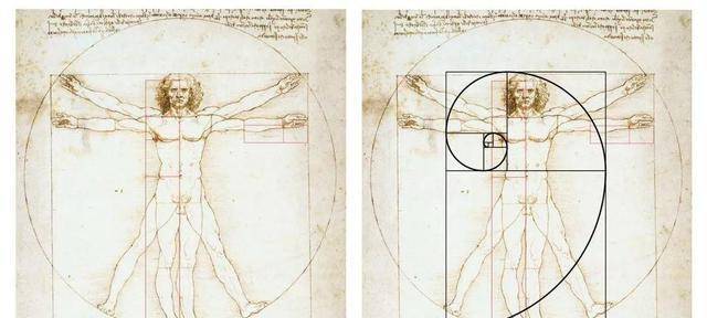 人体比例标准图达芬奇图片