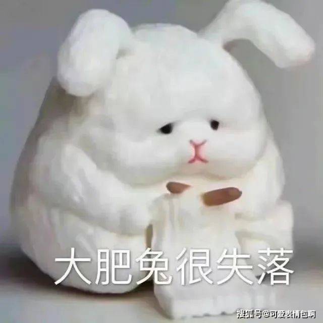 近期微信热门脸色包（有猪猪侠）