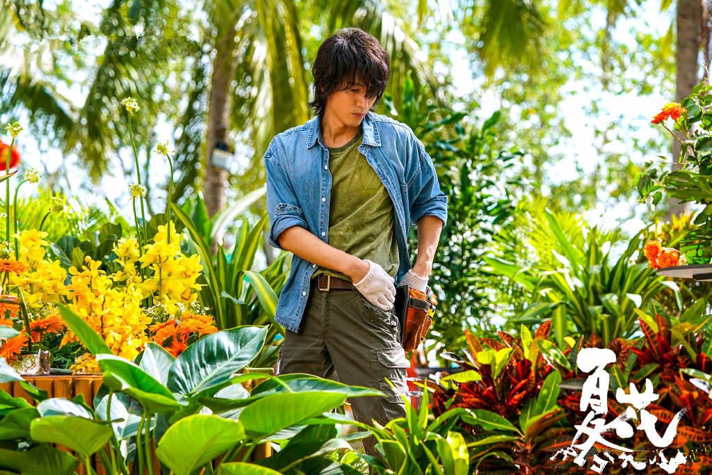 《夏花》剧情和拍摄,都非常唯美,在一个相对架空的环境当中,让男女