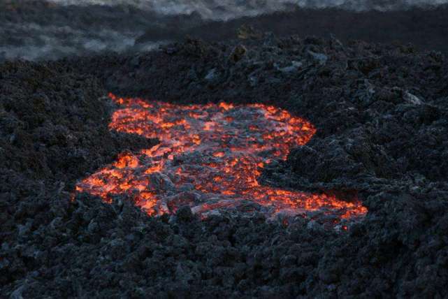 把“火山”当游泳池？地球上最耐热的动物，连科学家都想不明白(图1)