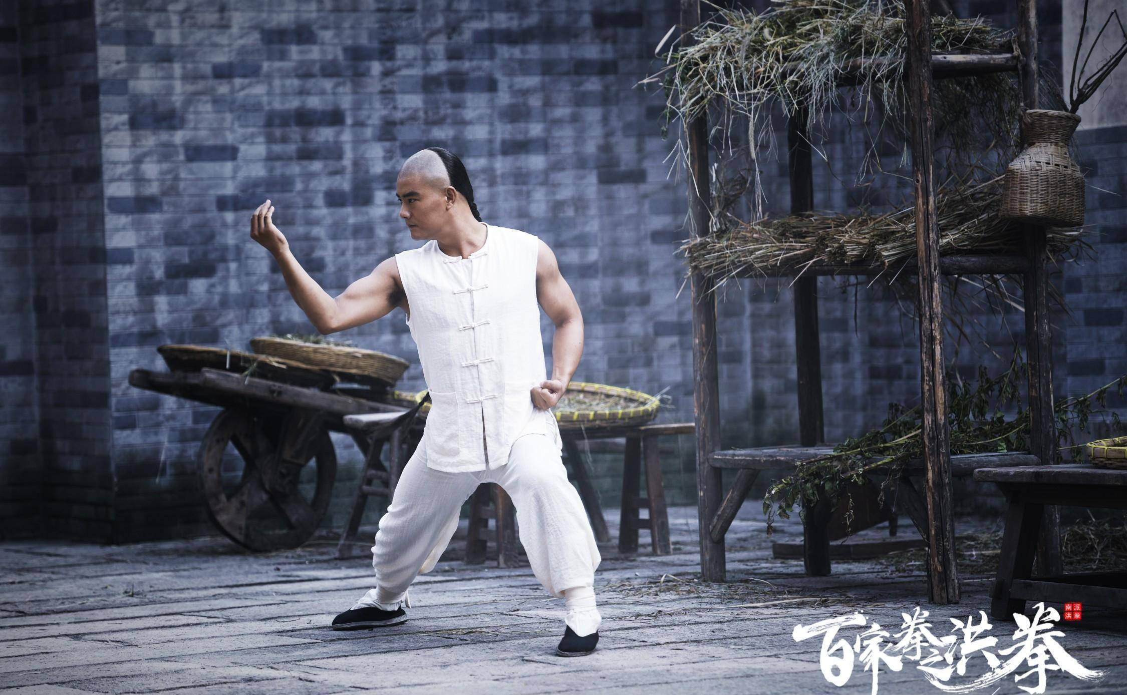 电影《百家拳之洪拳》2月22日爱奇艺 点燃武侠之心_林世荣_武术_海报