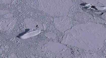南极冰面上出现120米“冰船”，窗户烟囱明显，它是怎么来的？(图2)