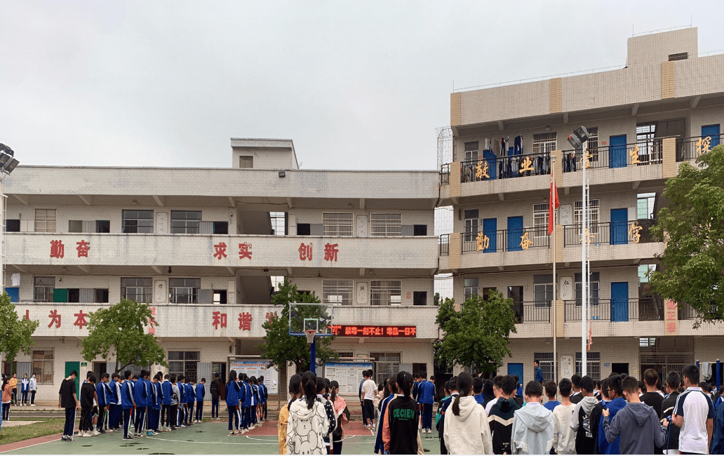 化州市官桥中学校服图片