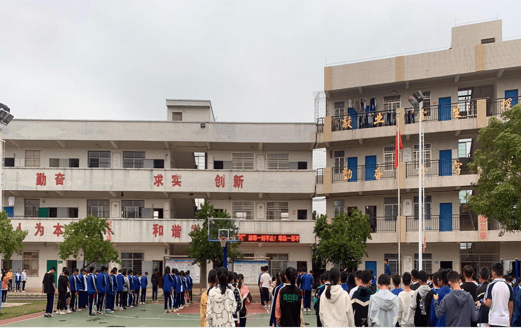 化州市官桥中学校徽图片