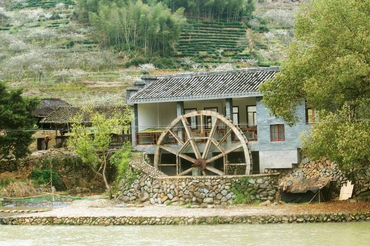 福建| 棠溪卷起李花雪_溪村_福安_武陵