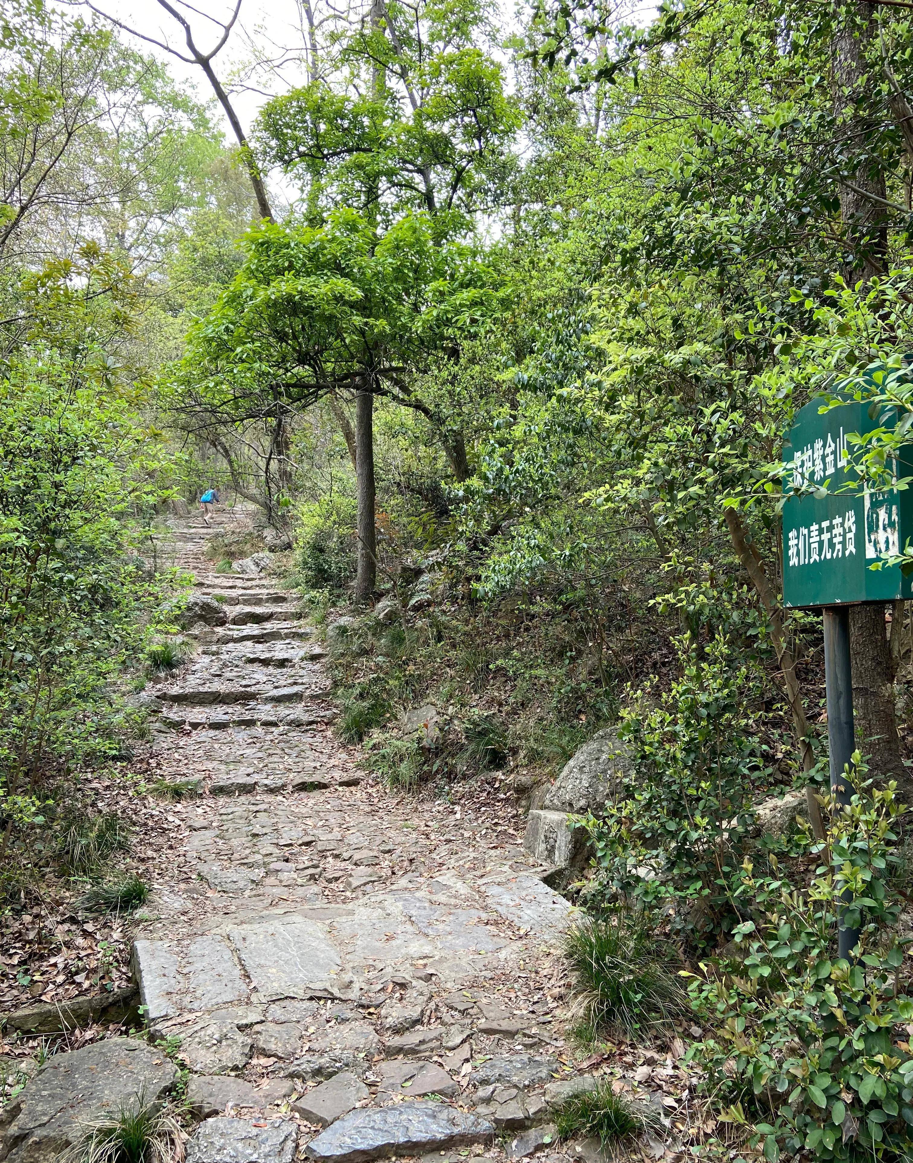 南京紫金山登山图片