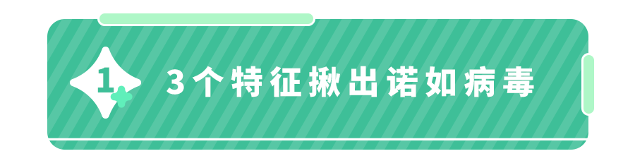 央视连发,诺如病毒高峰期来临,家长提前准备两样必需品