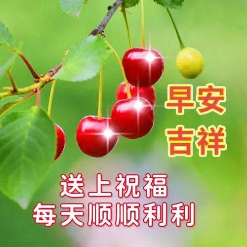 8张创意好看的春日清晨早上好祝福图片 最新早上好问候语图片_阳光为