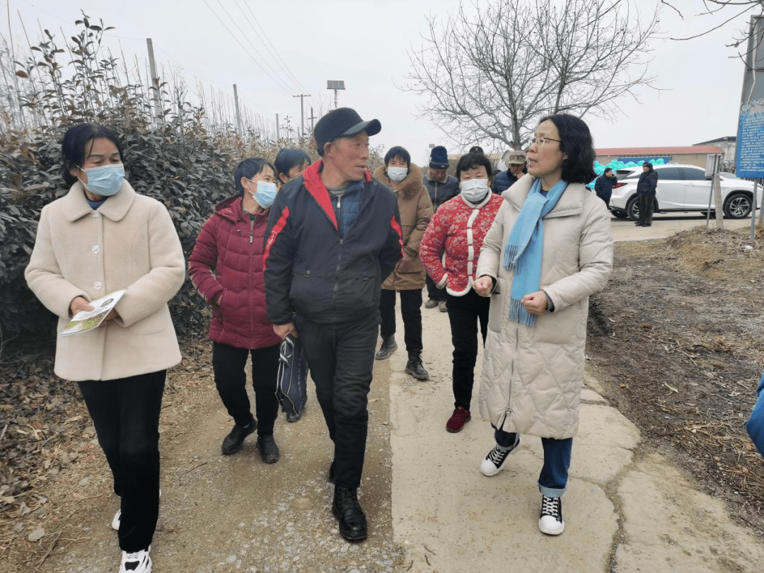 乾县阳峪镇冯市街道图片