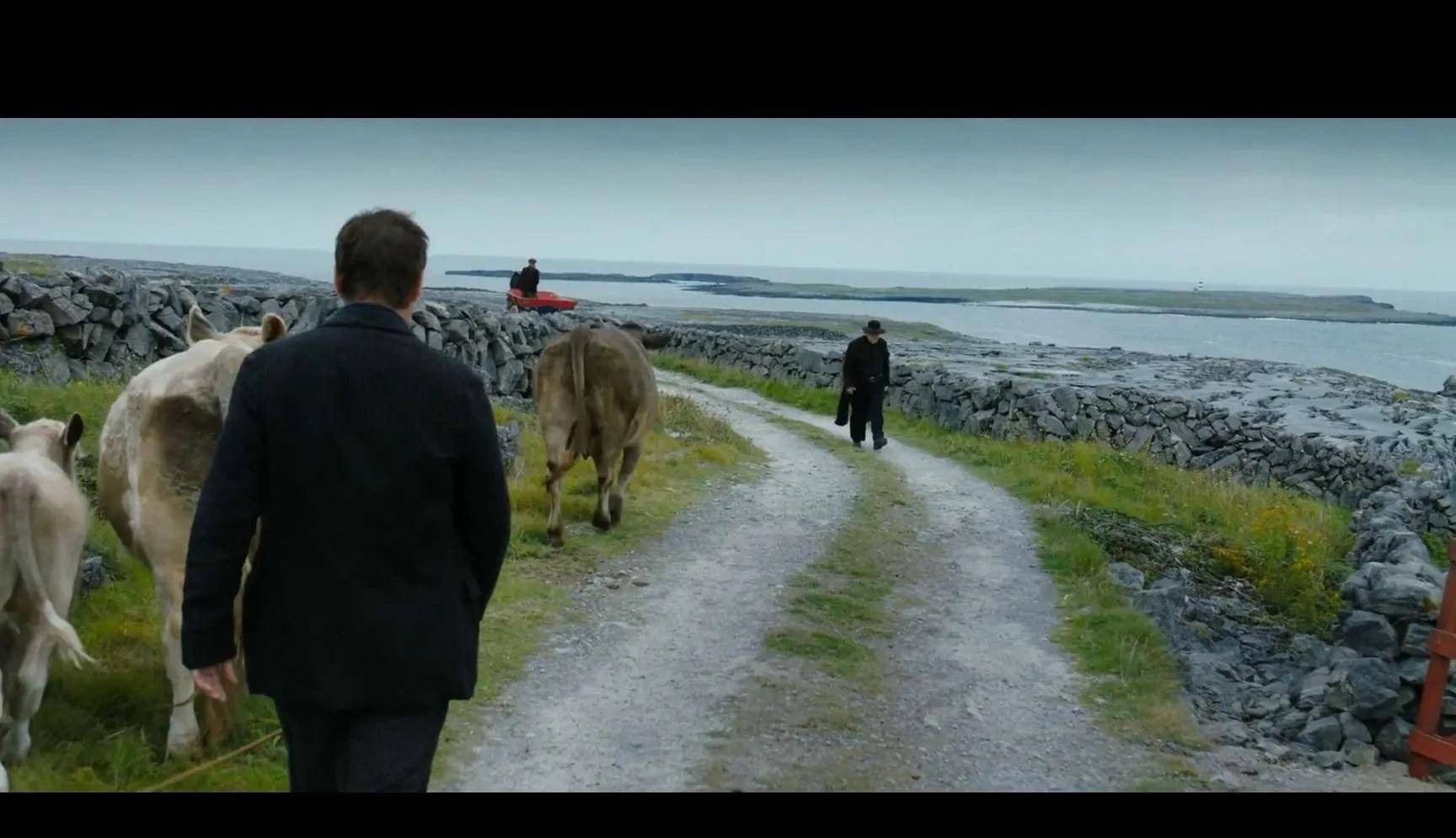 《伊尼舍林的报丧女妖》 关于两个男人分道扬镳的荒诞故事引人深思