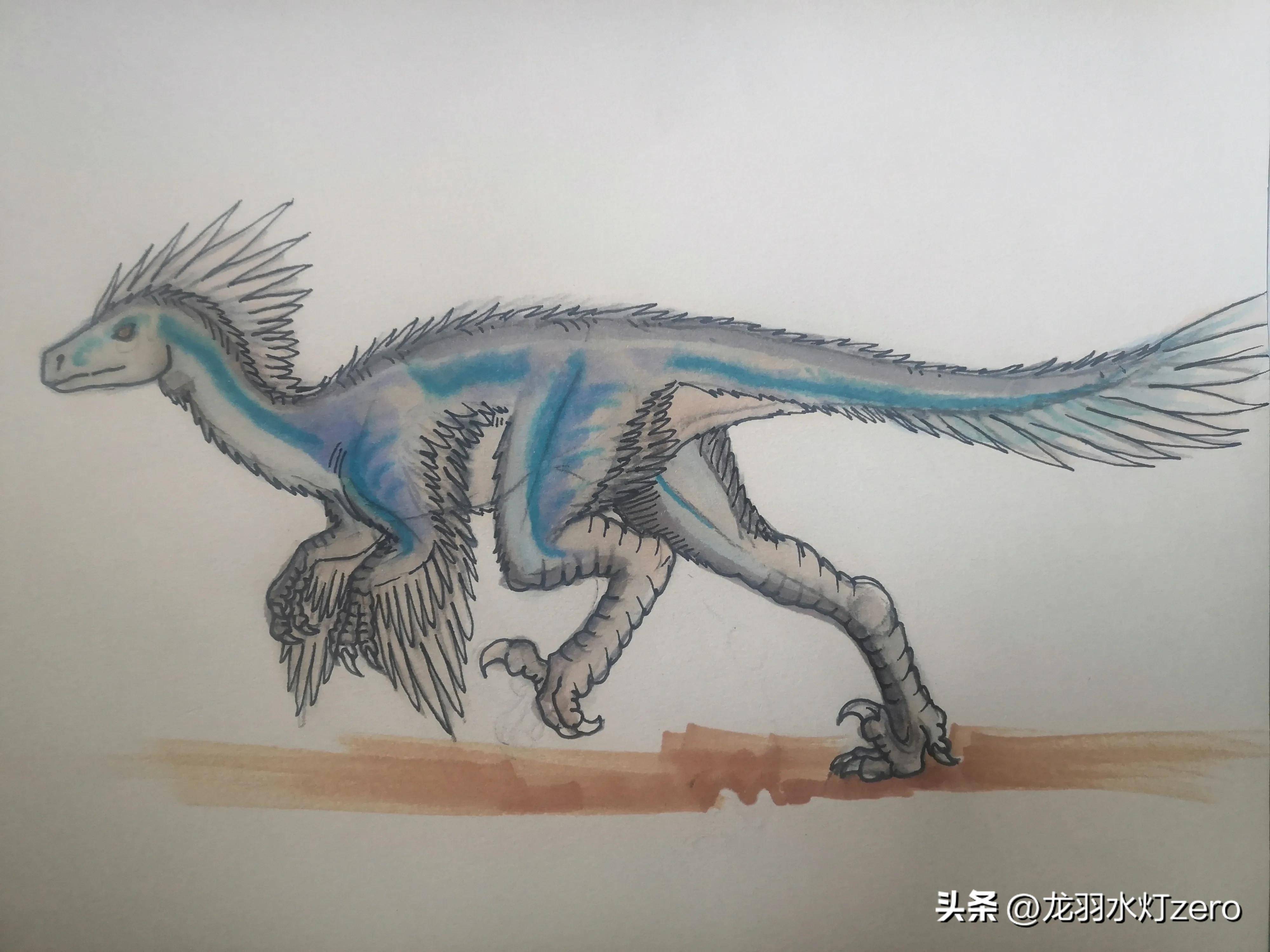 肉食恐龙大盘点:驰龙科(上篇)_鸟类_体型_犹他