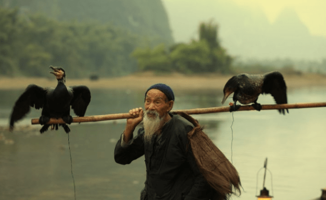 当年有人前往桂林游玩,看到了黄全德在江上划船,披着蓑笠带着鱼鹰,跟