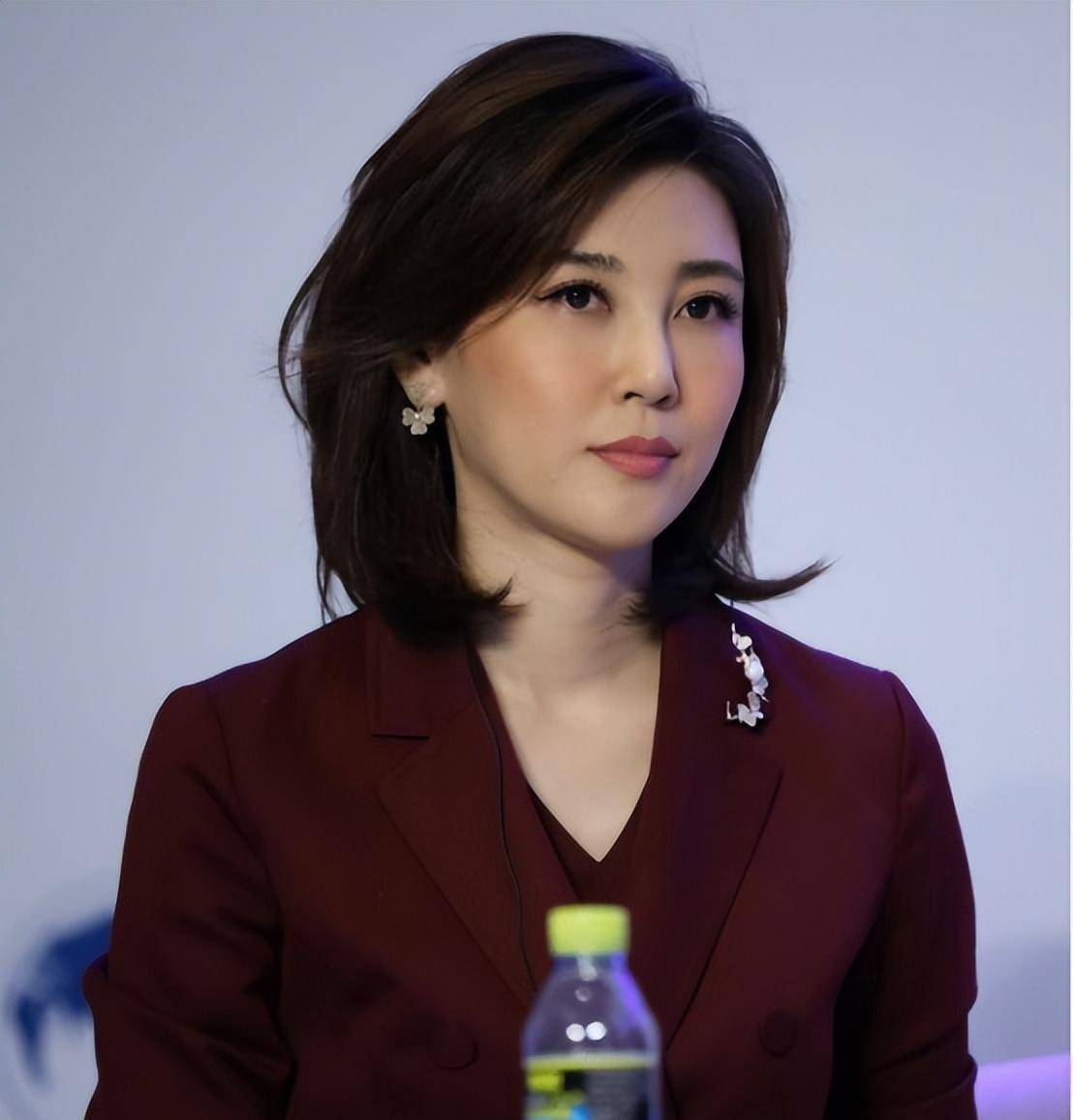 14岁辍学18岁逃婚,从农村妹到央视一姐的李红,她经历了什么?