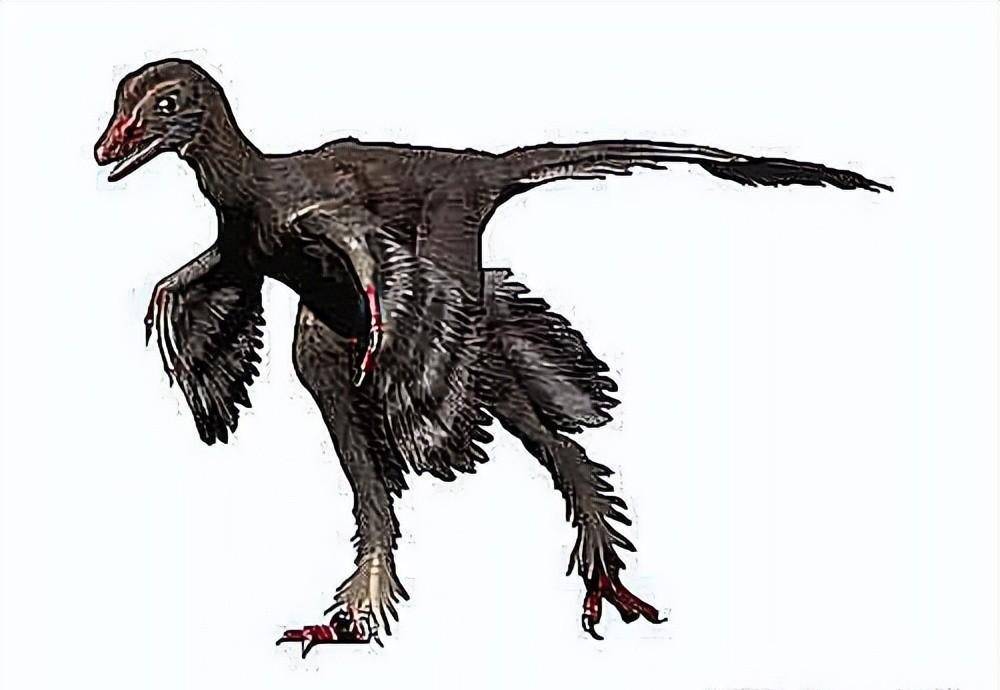 临河猎龙共 7736根据其不寻常的解剖结构来判断,中亚临河爪龙通过将其