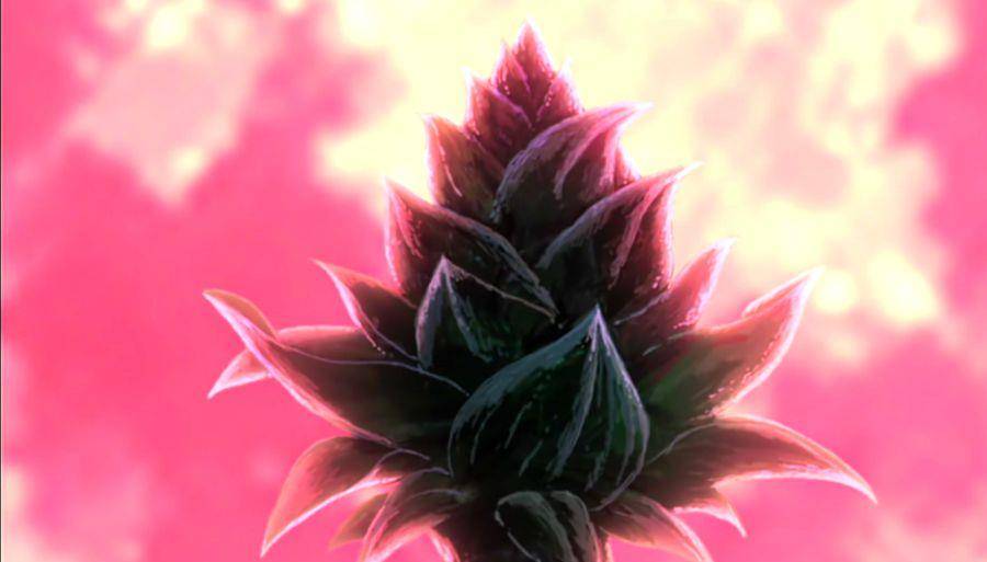 如果宇智波斑没有吸收神树,带土能发动无限月读吗?